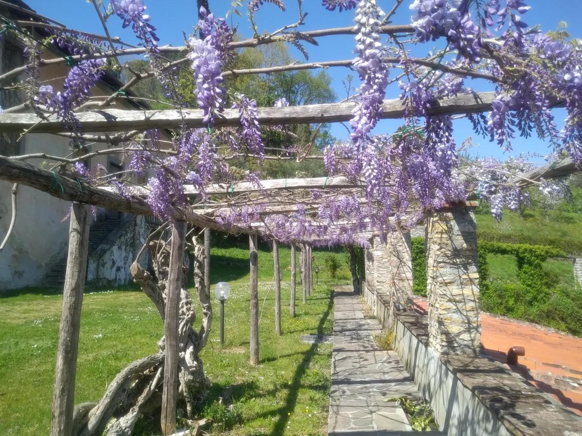 Apartmán Il Silenzio Lucca Exteriér fotografie
