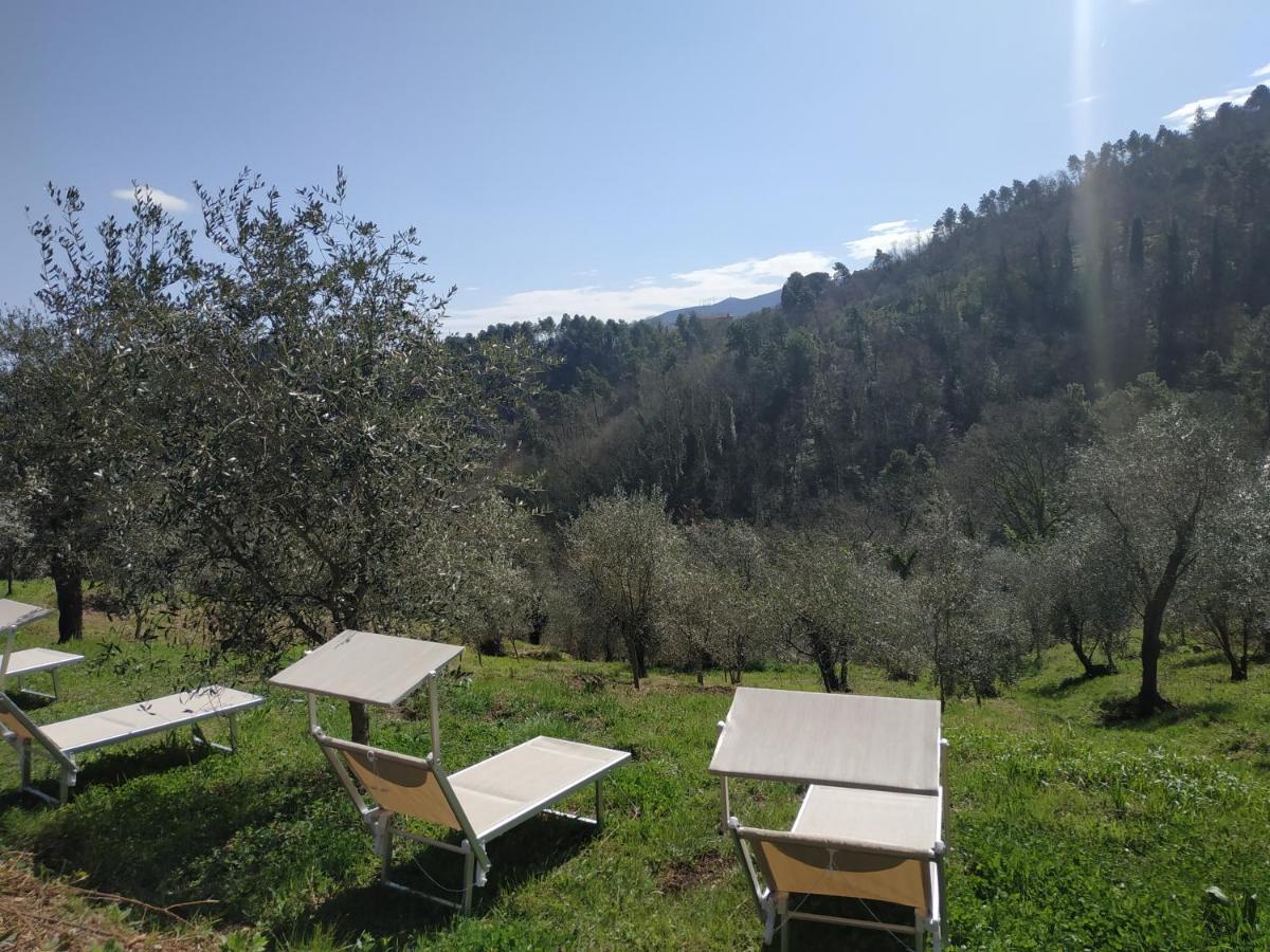 Apartmán Il Silenzio Lucca Exteriér fotografie